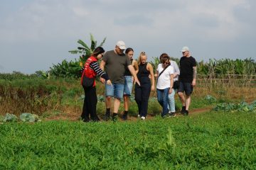 Hanoi Countryside Motorbike/ Jeep/ Vintage Vespa / Bicycle Tour12
